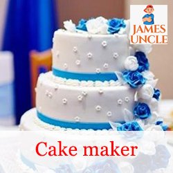 Cake maker Mrs. Tayeesha Majumder in Ganganagar